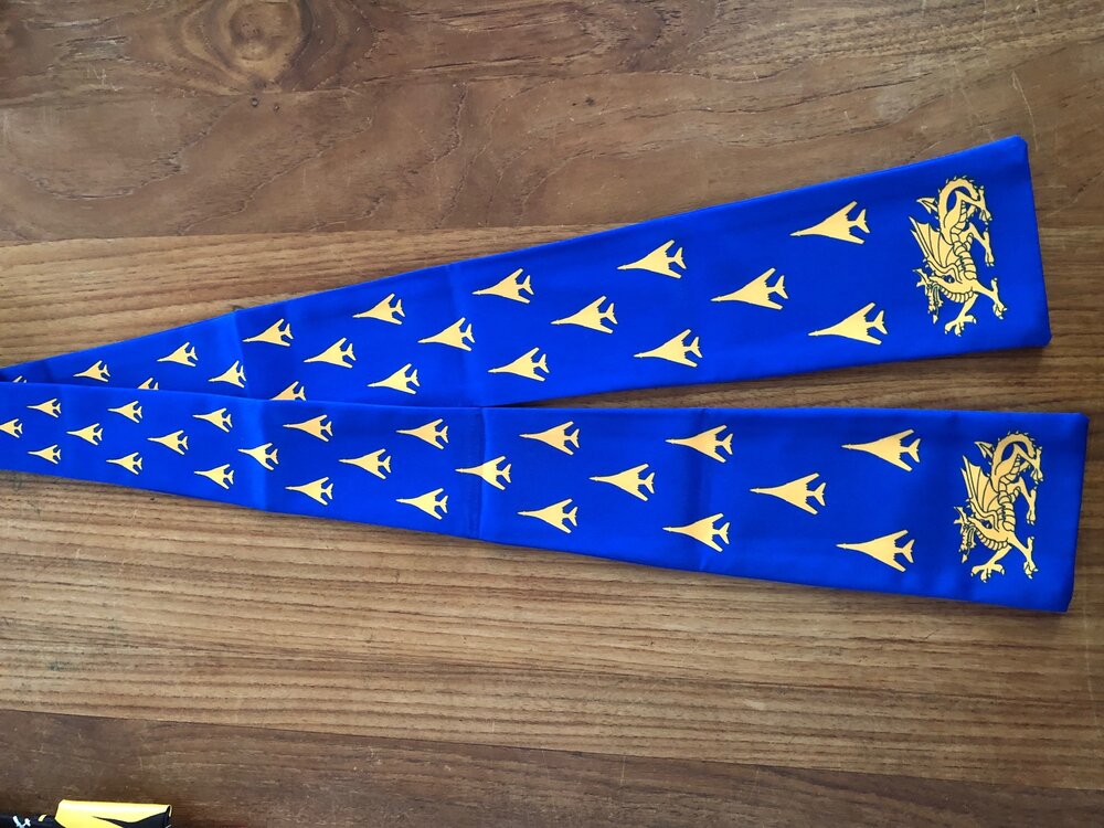 7th Bomber Wing pilot scarf - 37th Test Evaluation Squadron B-1 bomber aircraft