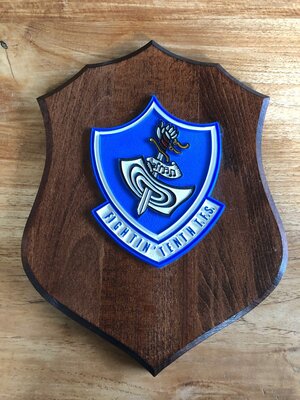 Fighting Tenth TFS squadron shield