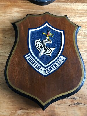 Fighting Tenth TFS squadron shield