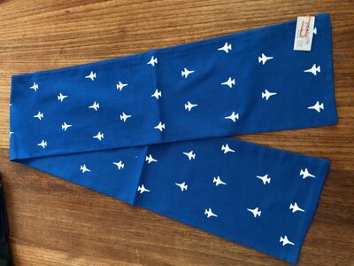 Pilot scarf 311st Fighter Squadron Homestead AFB