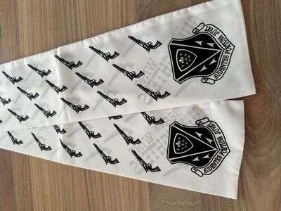 Pilot scarf 366th Wing Gunfighters