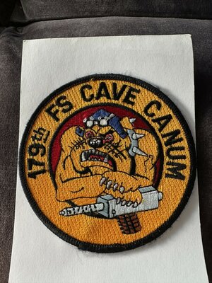 Air Force patch 179th Fighter Squadron 
