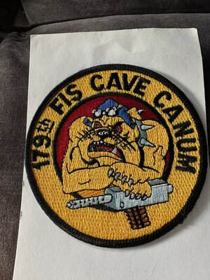 Air Force patch 179th Fighter Squadron 