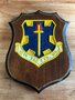 12th Tacticall Fighter Wing squadron shield