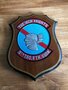9th TFS squadron shield