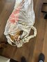 Parachute from aircraft