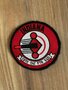 Air Force patch: 113th TFS 