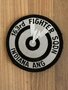 Air Force patch: 163rd Fighter Squadron 