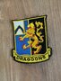 Air Force patch: DRAGOONS 