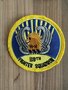Air Force patch: 119th Fighter Squadron 
