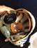 HGU-39/P helicopter flight helmet 801 squadron Spanish Air Force_