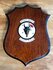 433rd Tactical Fighter Squadron squadron shield_
