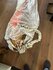 Parachute from aircraft_