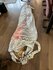 Parachute from aircraft_
