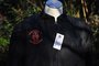 Embroidered CWU-36/P flight jacket Black 32nd TFS the Wolfhounds CNA Soesterberg_